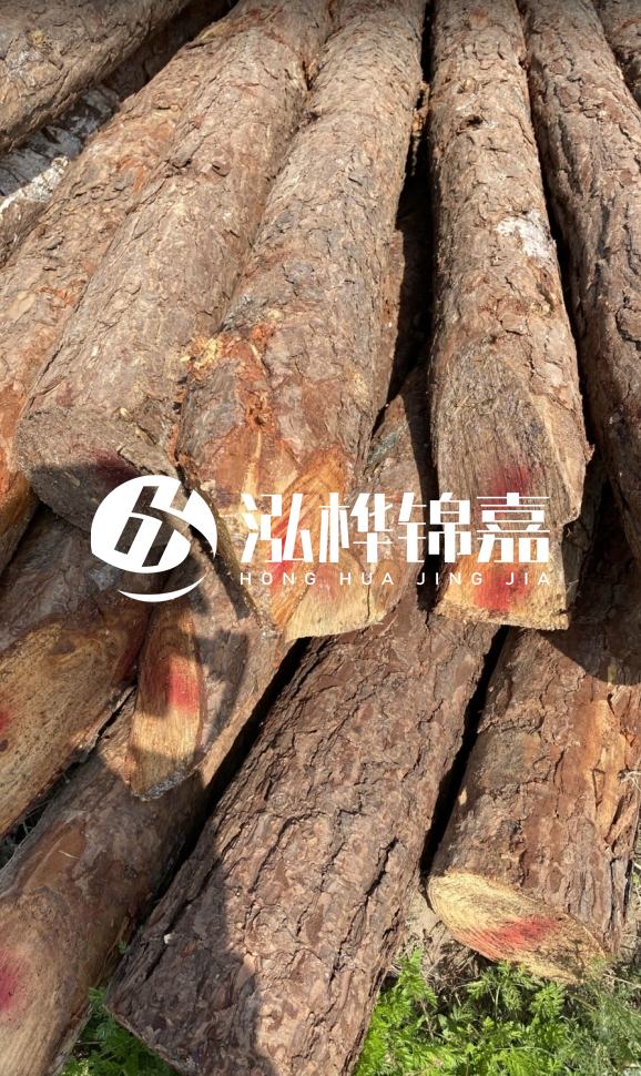 <strong>松木樁和杉木樁的用途區(qū)別？哪個更適合打樁用？</strong>