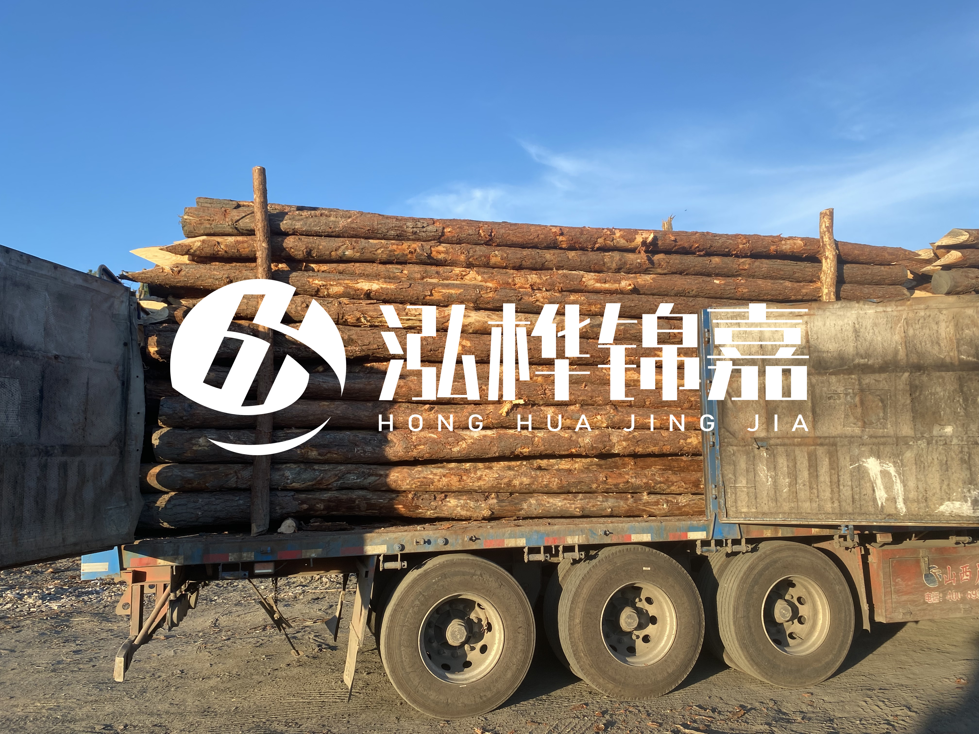 河道治理為什么要用松木樁？