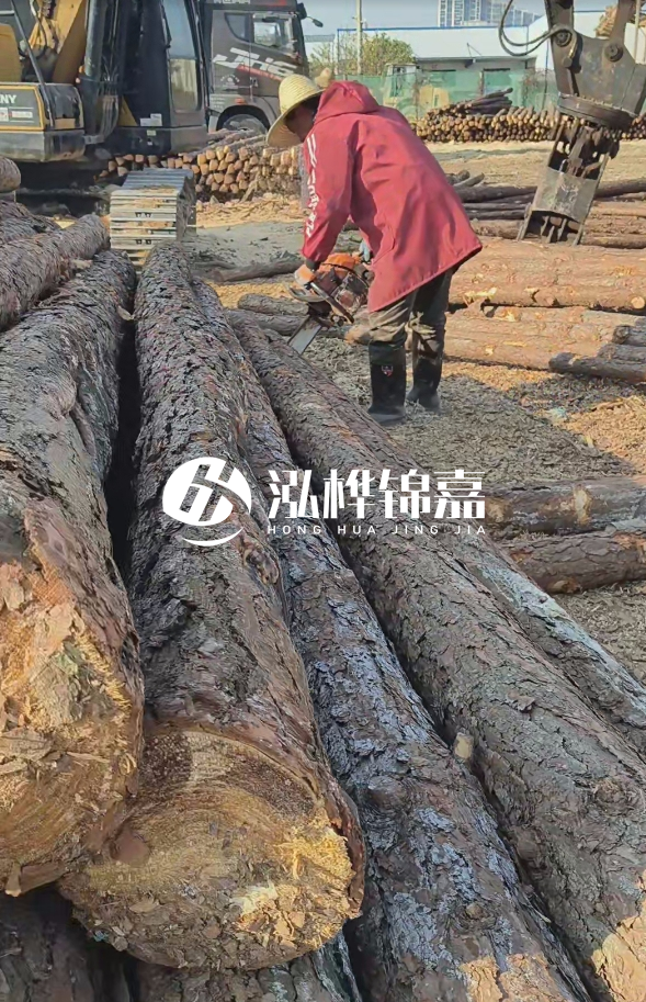 長(zhǎng)沙打樁木批發(fā)廠家在哪里？聯(lián)系方式是什么？