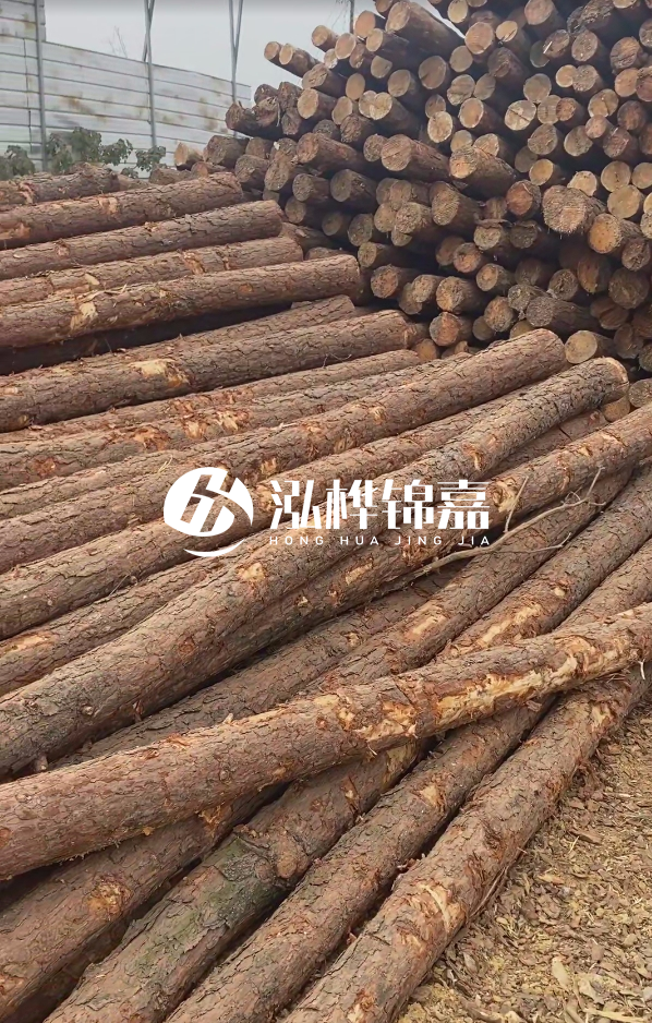 山西河道木樁護(hù)岸價(jià)格多少錢一米-每米河道打樁要花多少錢？