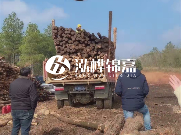 松木樁價(jià)格是按米算還是按根算？6米松木樁批發(fā)價(jià)每根多少錢(qián)？