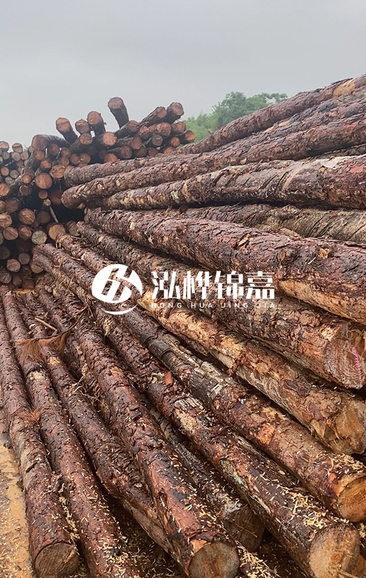 購買松木樁注意事項(xiàng)有哪些-不同直徑松木樁區(qū)別有哪些？