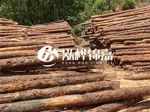 松木樁的運(yùn)輸費(fèi)用是否包含卸車費(fèi)？卸貨時(shí)需要注意哪些安全問題？