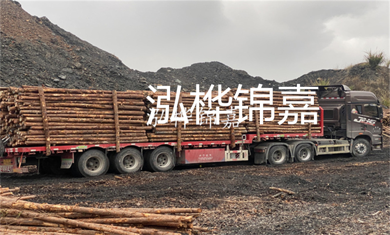 云南哪里有松木樁？實(shí)用指南，助您選購優(yōu)質(zhì)木材！