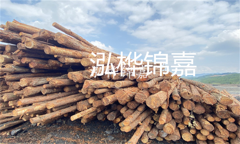 濮陽松木樁，卓越品質(zhì)，安全可靠